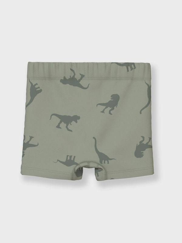 NMMTIGHTS 3P AGAVE GREEN DINO NOOS