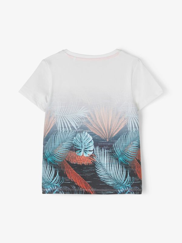 NMMFAZOKA SS TOP