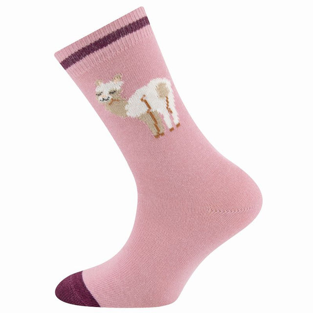 Socken - Lama