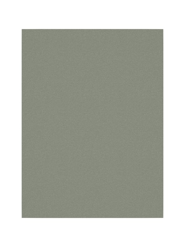 NMMTANK TOP 2P AGAVE GREEN DINO NOOS