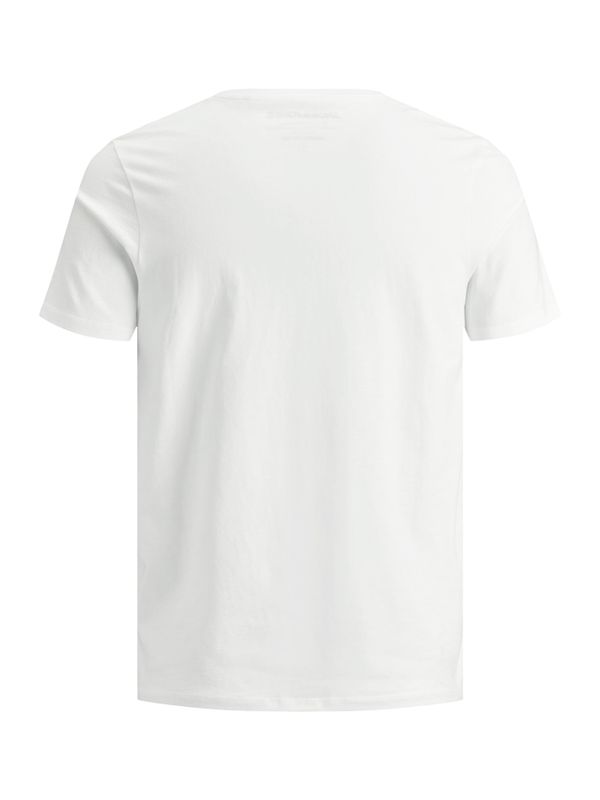 Basic T-Shirt JJEORGANIC