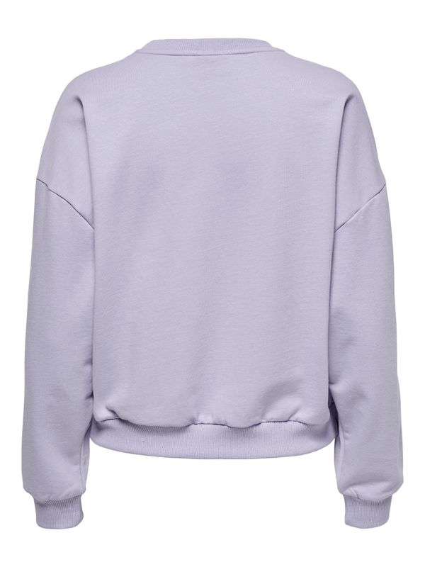 ONLDISNEY LIFE L/S MINNIE FLOWER BOX SWT