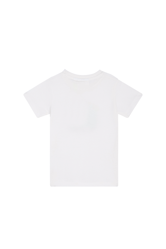 archie-sb-02-f