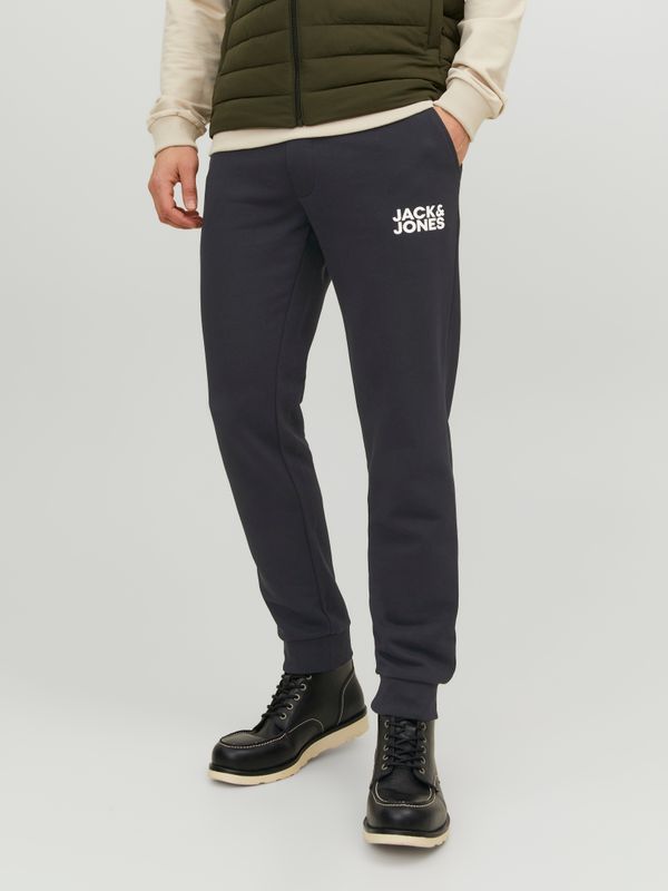 JPSTGORDON JJNEWSOFT SWEAT PANT GMS NOOS