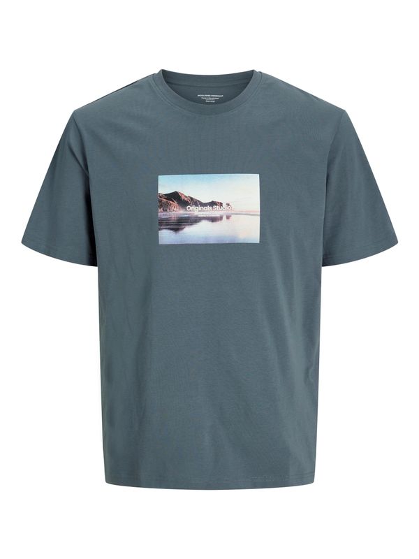 JORVESTERBRO PICTURE TEE SS CREW NECK SN
