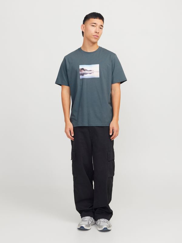 JORVESTERBRO PICTURE TEE SS CREW NECK SN