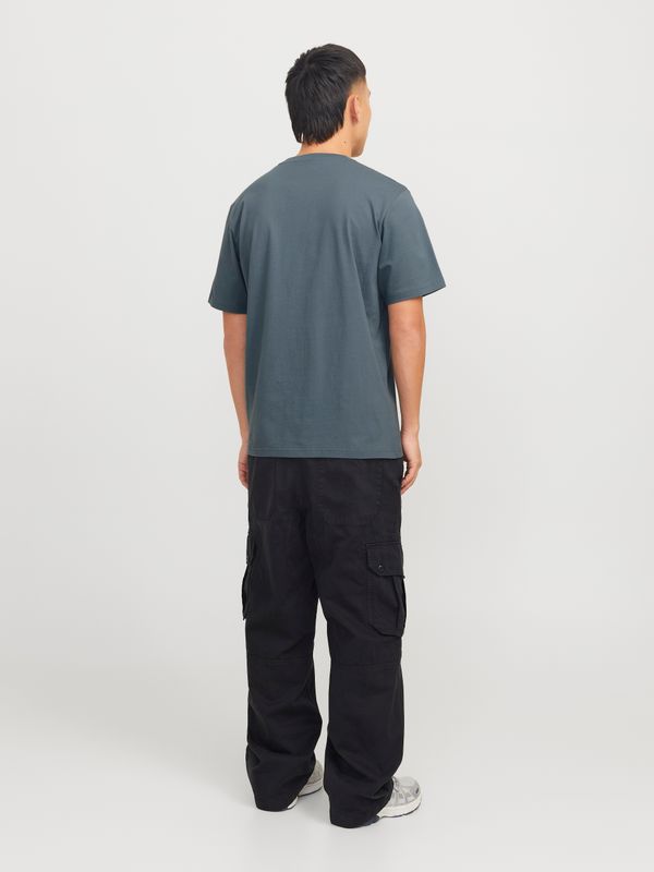 JORVESTERBRO PICTURE TEE SS CREW NECK SN