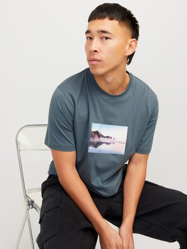 JORVESTERBRO PICTURE TEE SS CREW NECK SN
