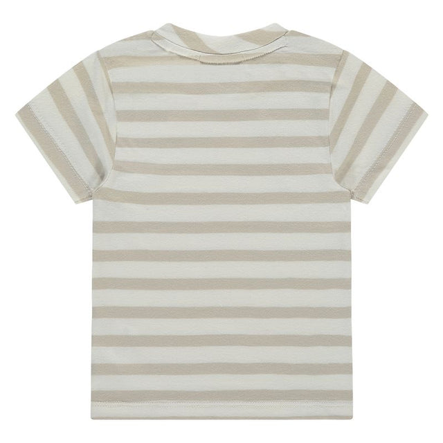 Baby Boys T-shirt Short Sleeve