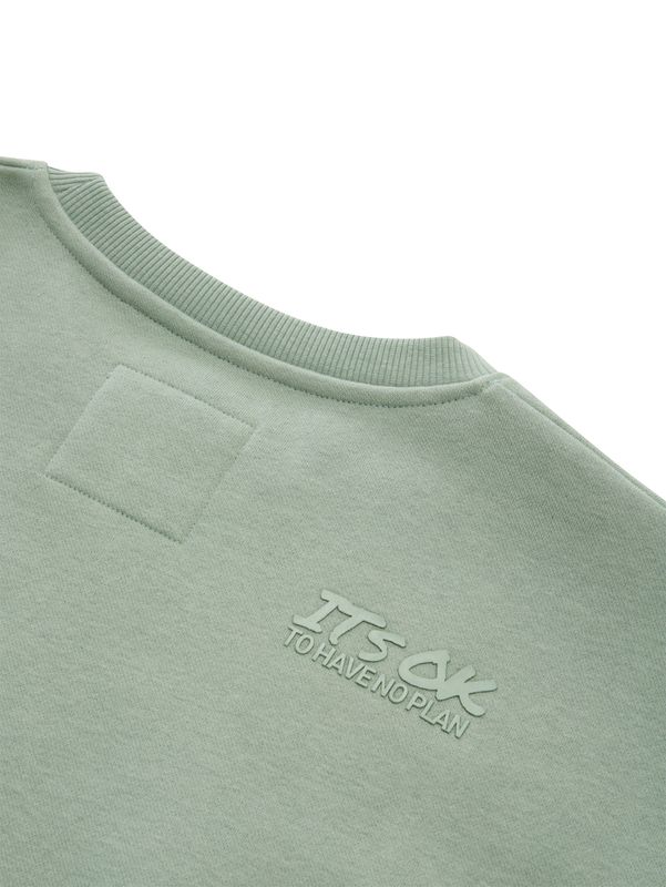 Oversize Sweatshirt mit Rückenprint