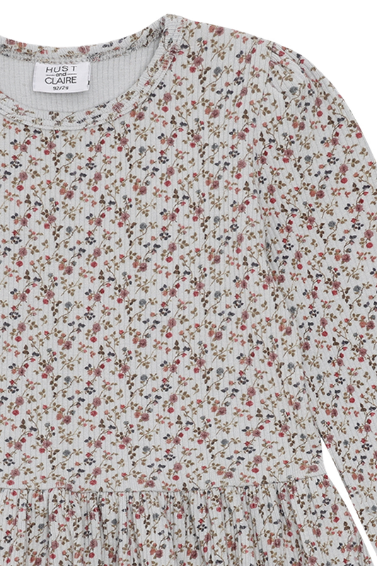 HC Donna Little roses