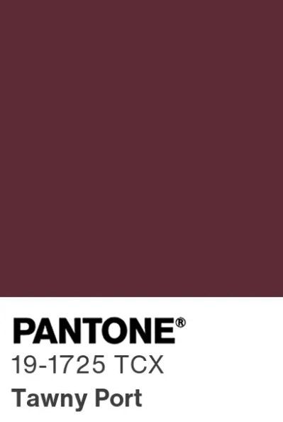 Basic original Hoodie