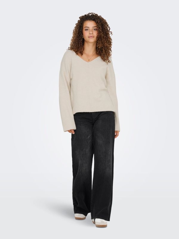 ONLWHITNEY LIFE LS V-NECK KNT