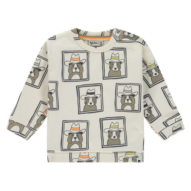 Baby Boys Sweatshirt
