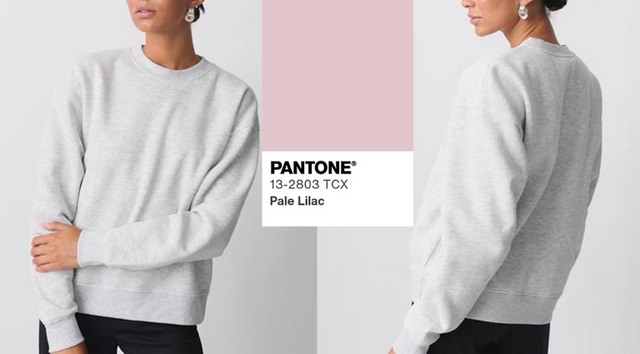 Basic Sweater
