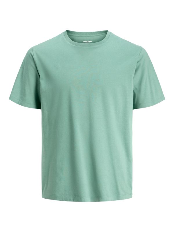 Basic T-Shirt JJEORGANIC