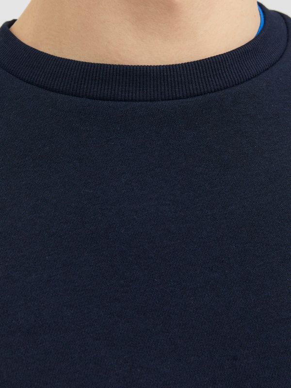 Sweatshirt JJEBRADLEY