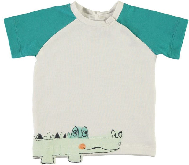 NBMDETUS SS TOP