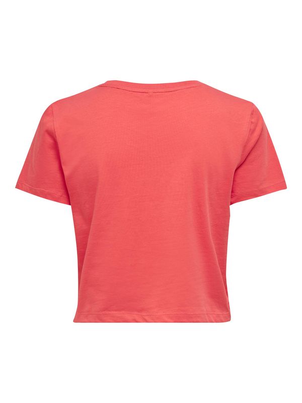 ONLKIKI LIFE CROP S/S PARROT TOP BOX JRS