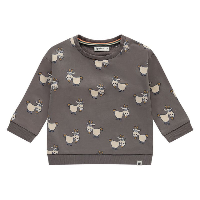 baby boys sweatshirt