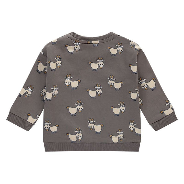 baby boys sweatshirt