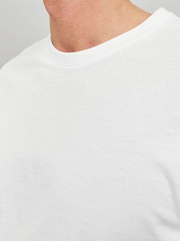 Basic T-Shirt JJEORGANIC