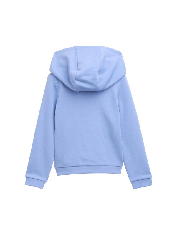 Hoodie Sweatshirt mit Print