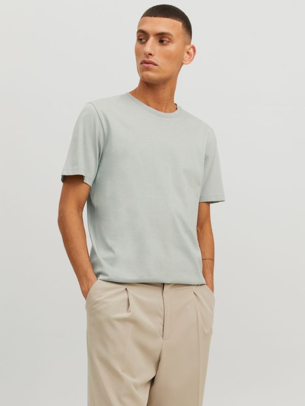 Basic T-Shirt JJEORGANIC