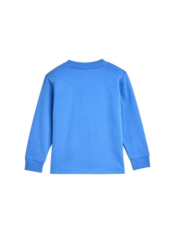 Sweatshirt mit Print