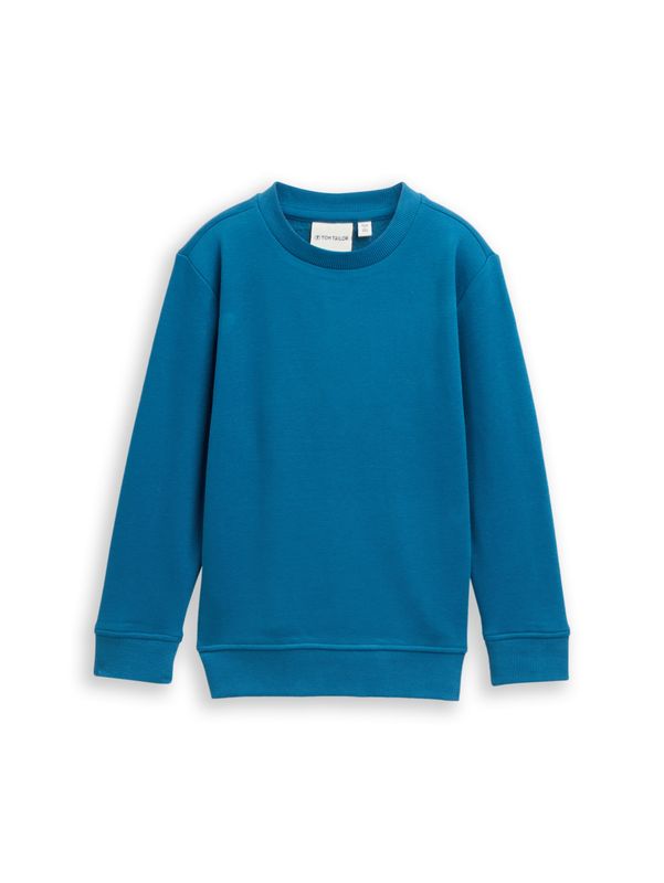 Basic Sweatshirt mit Rückenprint