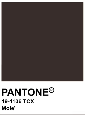 Basic original Hoodie