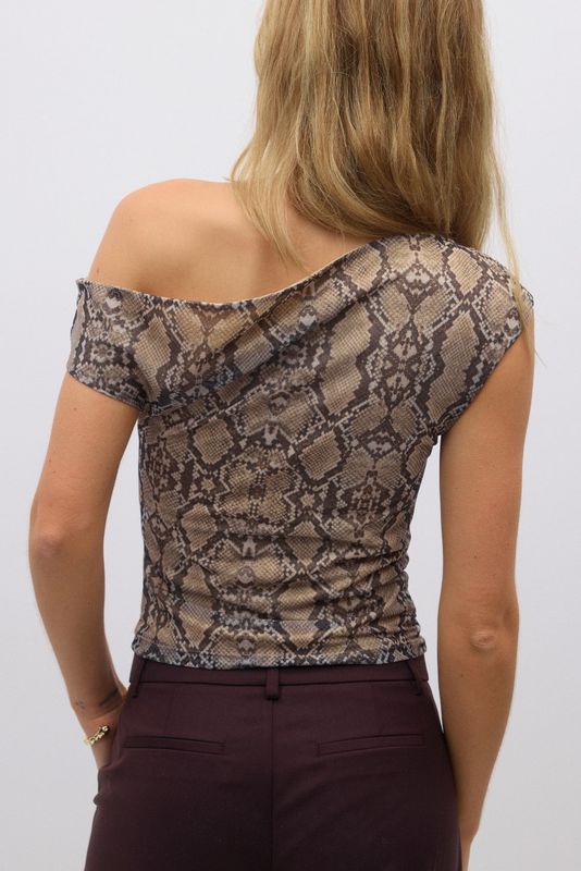 Asymmetric top