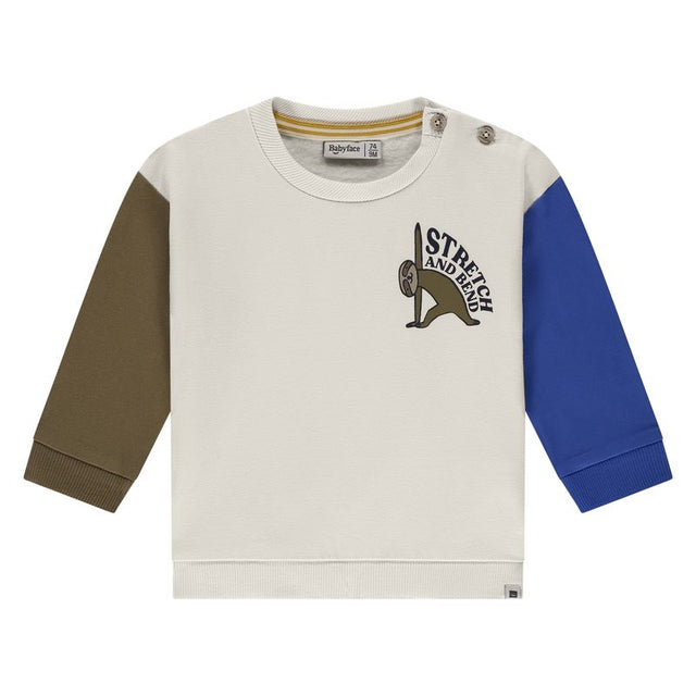 Baby Boys Sweatshirt
