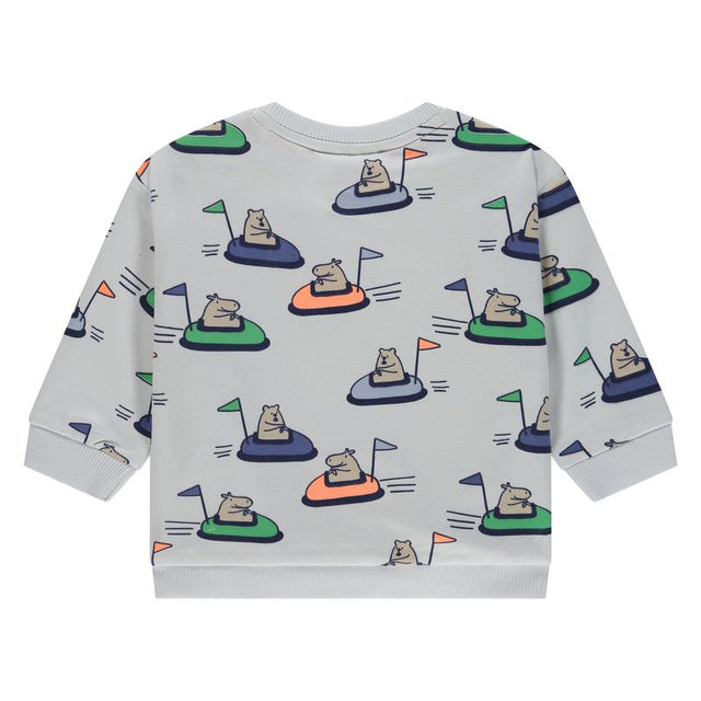 Baby Boys Sweatshirt