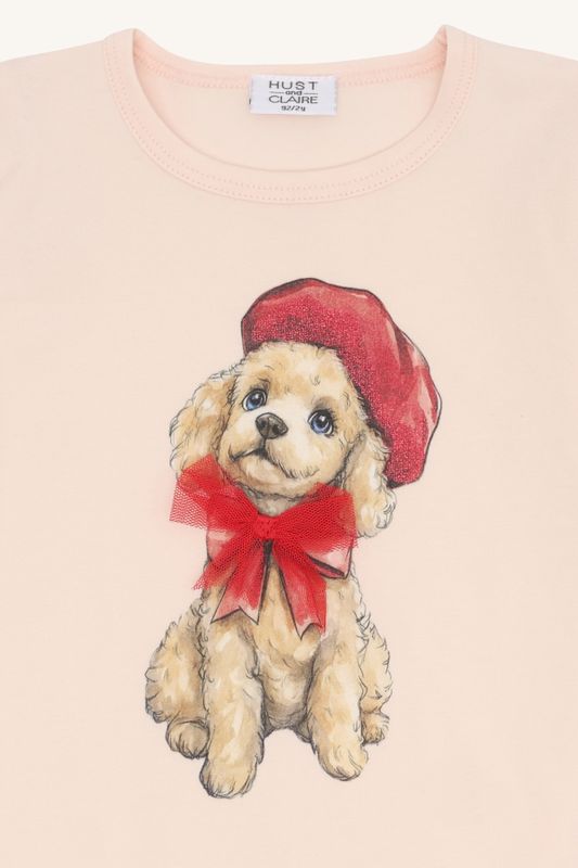 HCAlma Poodle