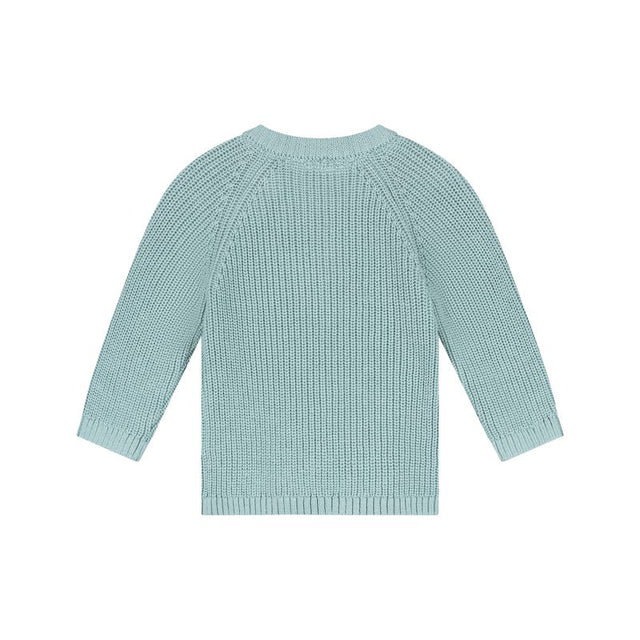 Baby Boys Pullover