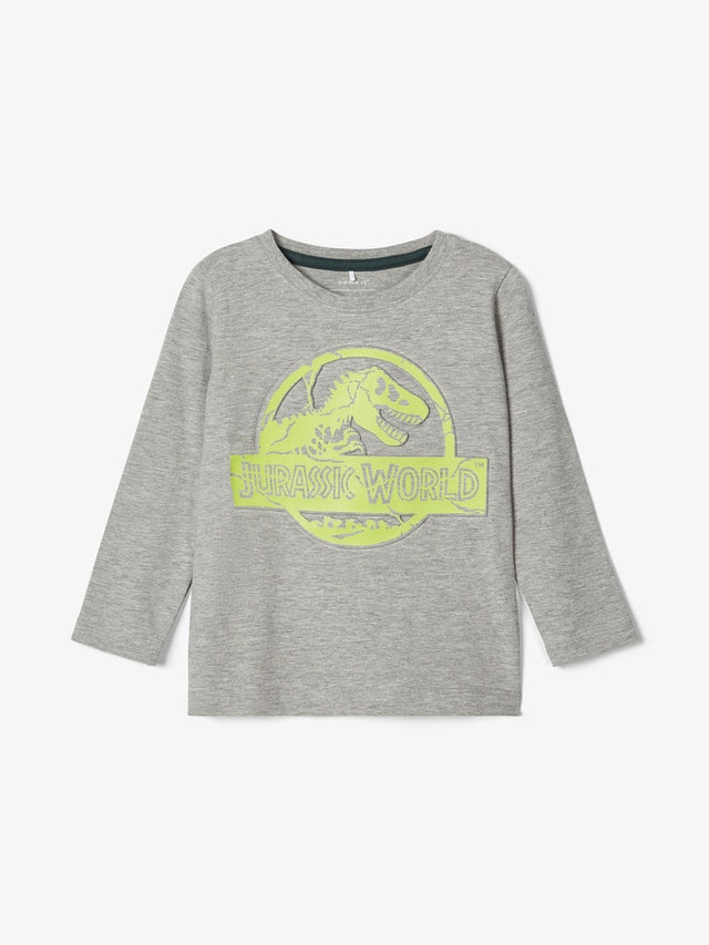 NMMJURASSIC ARNI LS TOP LIC